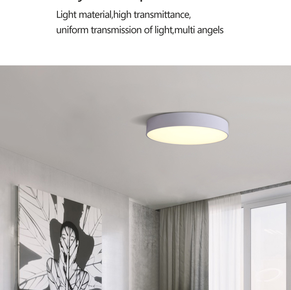 Ceiling Lamp Ceiling Light 0169