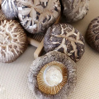 New Arrival Air Dried Shiitake Mushroom