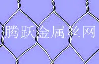 Hexagonal Wire netting