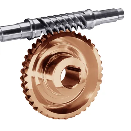 Zhejiang Factory OEM Worm Wheel Worm Gear Customization