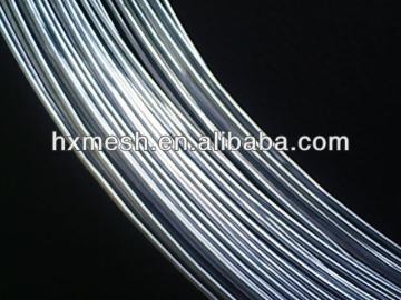 Galvanized iron wire Hot dipped and Electro galvanized wire