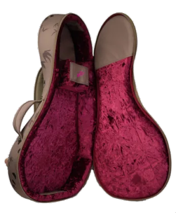 Lute/ Yueqin Carry Bag (Embroidery & Print )