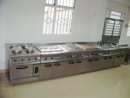 Hertzian waves combination oven
