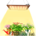 Samsung LM301B Quantum led Board grow lights