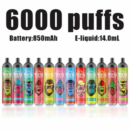 Disposable Vape Bang King 6000 puffs Best Taste