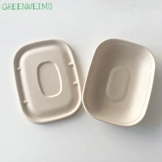 Disposable Biodegradable Bagasse Pulp Fast Food