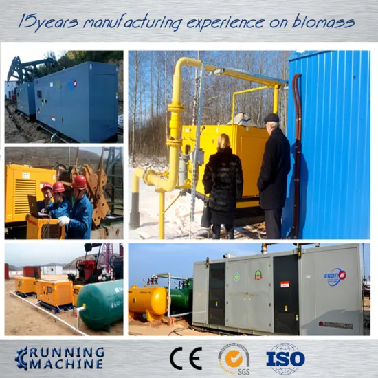 Wood pellet biomass gasification and biogas generators