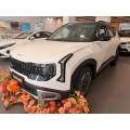 New Kia Seltos equipped with intelligent driving