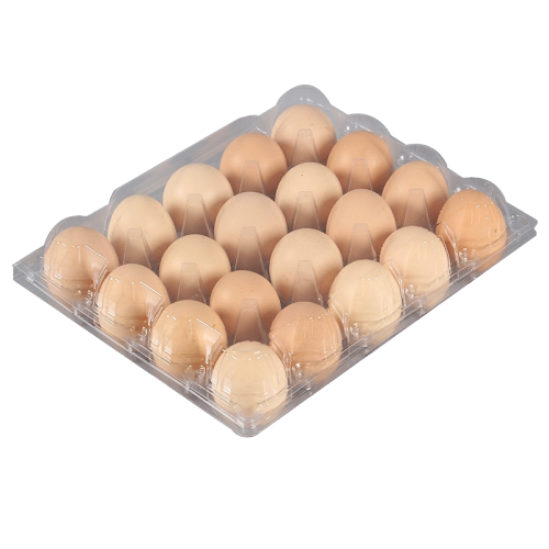 Empty Tray Hlakola Blister Chicken Egg Box