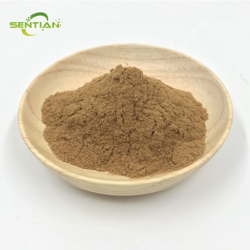 High Quality Tongkat Ali Plant Extract