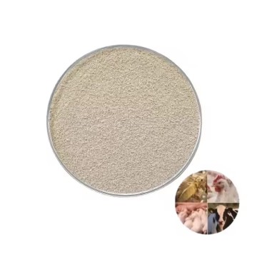 Saccharomyces cerevisiae protein 40% for animal feed