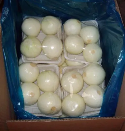 Supply Chinese fresh yellow onions