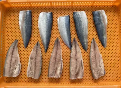 Chinese Seafood Frozen Fish Mackerel Fillets For Market