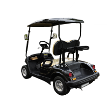 two people small gas power golf cart