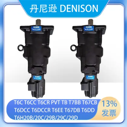 Denison T6EE/T6CCW Professional Hydraulic Vane Pump - Excellent Quality