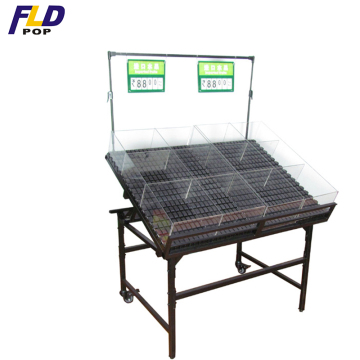 Modern Factory Price Space-Saving Fruit and Vegetable Storage Display Rack for Shopping Markets