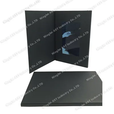 MP4 Player Brochure Advertising Player Advertising Player