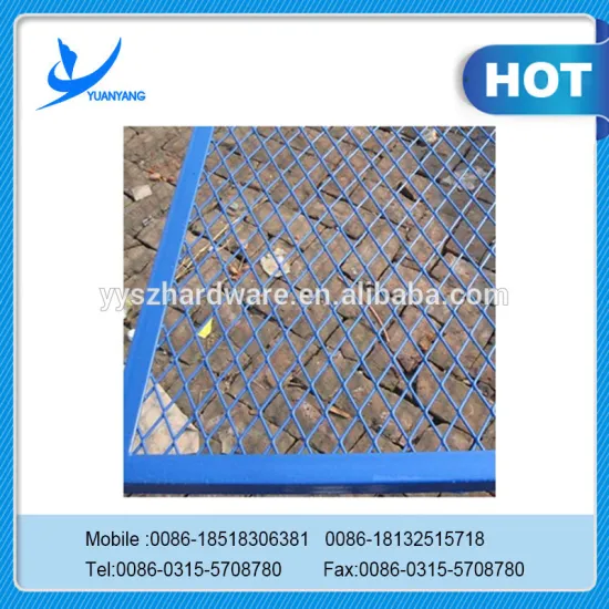 pvc cheaper new product Galvanized Expended wire mesh made in china