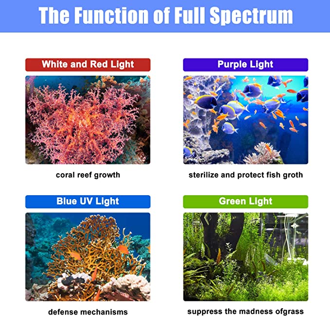 Dimmable Led Light With Switch Aquarium Coral