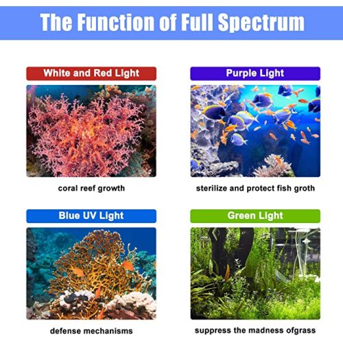 Dimmable LED Light dengan Switch Aquarium Coral