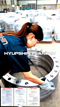 DIN 2527 Flange Dimensions