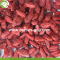 Großhandelsmasse Vitamine Eu-Standard Goji Beeren