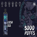 Original Energy Disposable Vape 5000 puffs Rechargeable