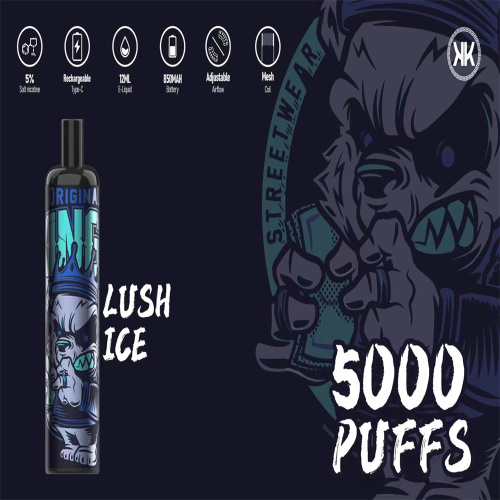 Energy Vape 5000 Puffs Disposable Vape