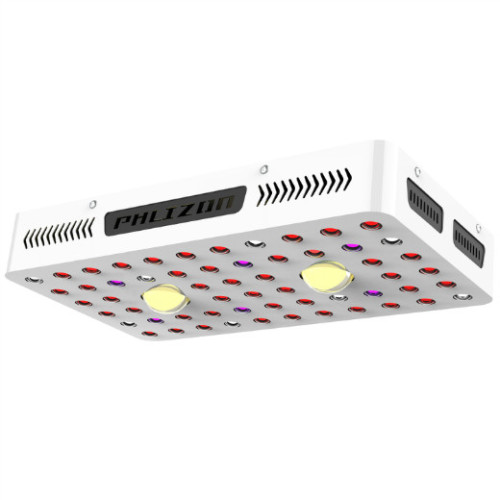 Phlizon 1000W COB LED rośnie światło