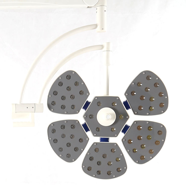 Petal standing operation lamp