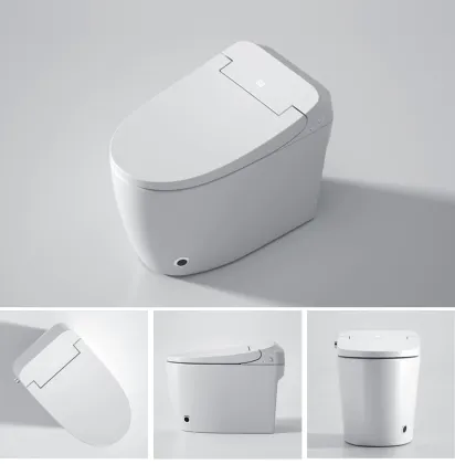Washing Heating Drying Cheap Smart Toilet