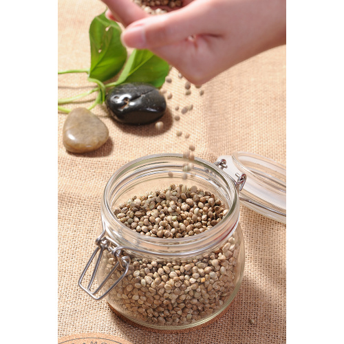 Conventional Hemp Seeds for Sale