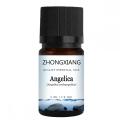 100% Pure natural organic angelica root essential oil
