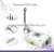 Portable co2 fractional laser-Nicole