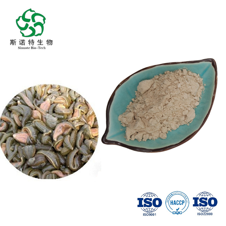 High Quality Leech Extract Hirudin Powder