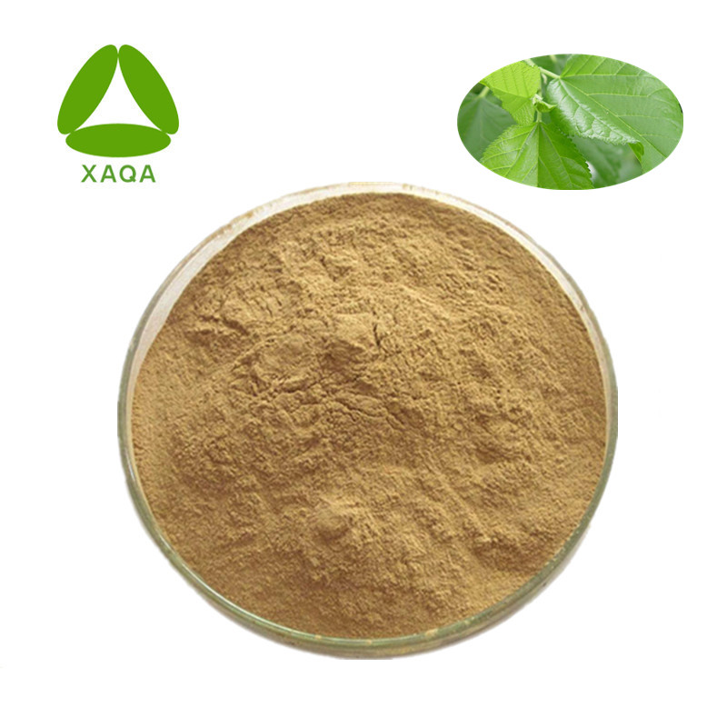Pure Natural Mulberry Leaf Extract Powder