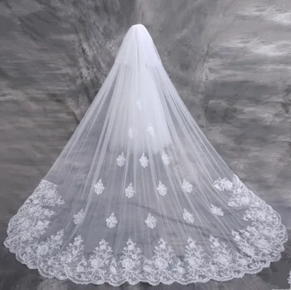 2017 Cathedral Lace Edge Wedding Bridal Veil with Comb (Dream-100097)