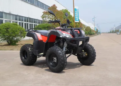 Red Eec Racing 200cc Atv On Mountain Road , One Seat Street Quad Bike