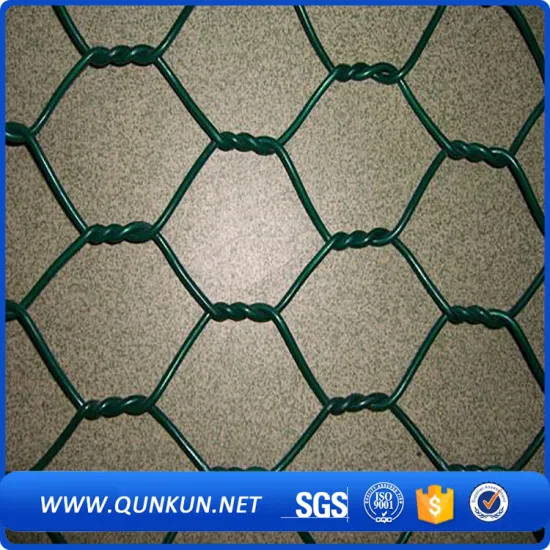 stainless steel hexagonal wire mesh for poultry-farm