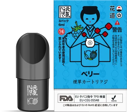 Vaporizers of smoke e-cigarette vape e-cigarette Accessories