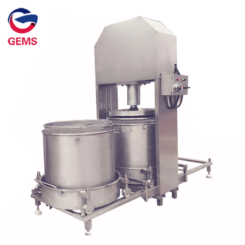 Cold Press Vegetable Juicer Machine Juicing Machine