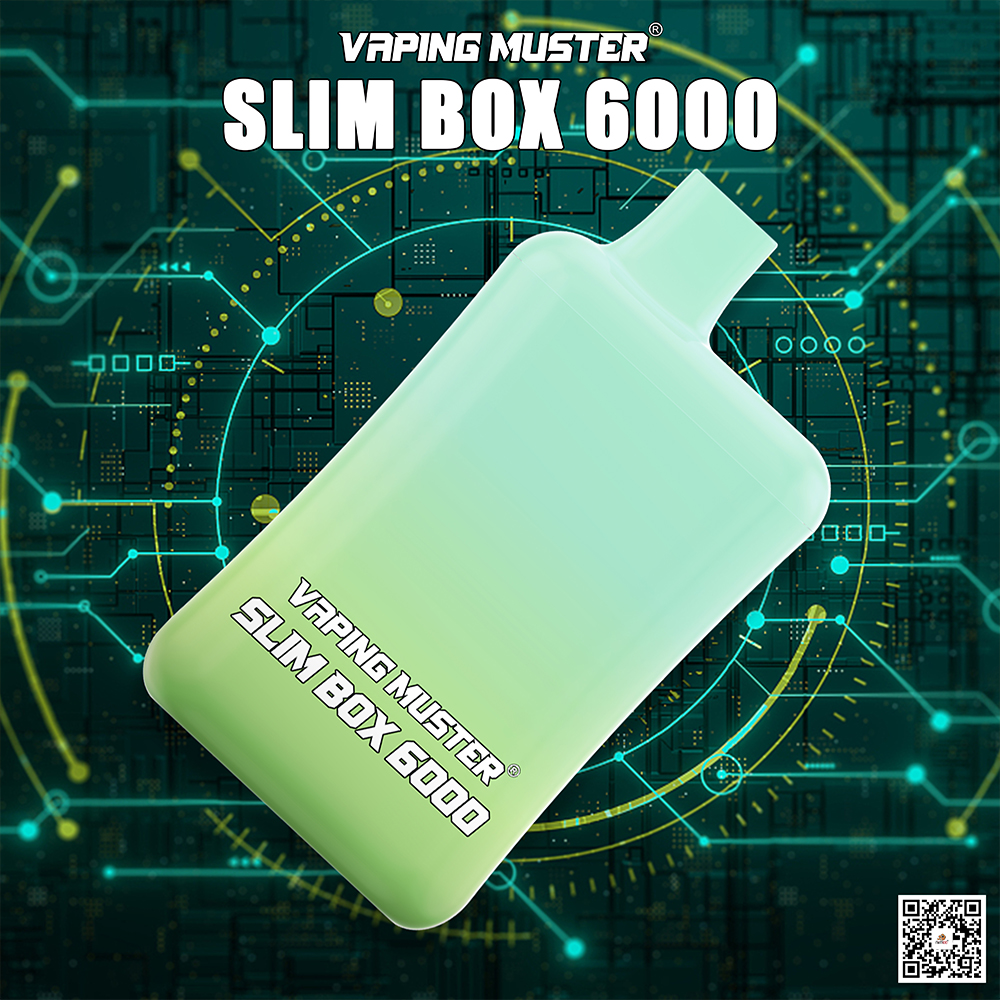 Slim Box Vape 6000 Puffs