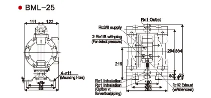 Diaphragm Pump/Pneumatic Diaphragm Pump/Air Operated Diaphragm Pump