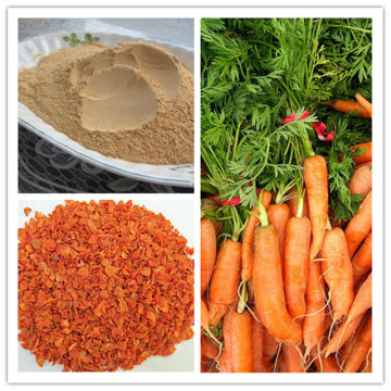 Dehydrated Carrot Powder