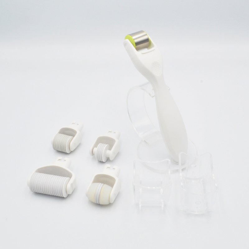 MNS 1.0mm 5 in 1 Cosmetic Roller Kit