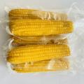 High Quality Yellow Sweet Corns