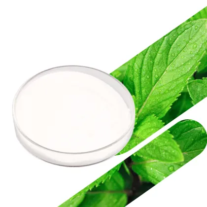 Wholesale Stevia Sugar/stevia sugar factory