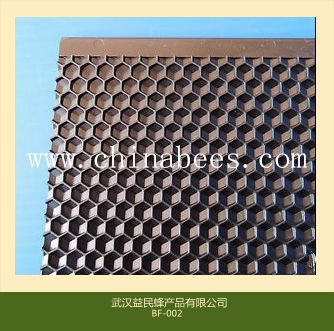 bee hive plastic foundation beekeeping equipment