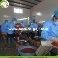 Approvisionnement d&#39;usine Fruits Meilleure qualité 2KG Goji Berry