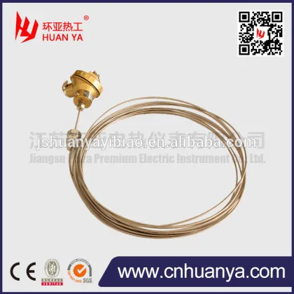 Armor PtRh10-Pt S type thermocouple